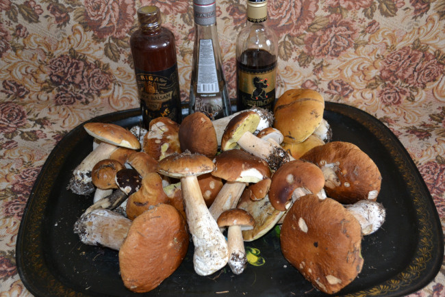 Обои картинки фото дары, еда, грибы, грибные, блюда, напитки