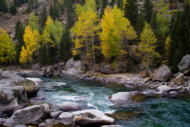 Обои картинки фото природа, реки, озера, лес, река, осень, камни