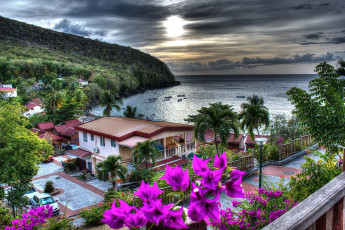 Картинка les anses d`arlets martinique города пейзажи тропики пальмы бухта побережье карибское море мартиника caribbean sea