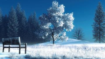 Картинка 3д графика nature landscape природа снег деревья скамейка