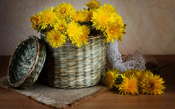 Картинка цветы одуванчики солнышки корзина