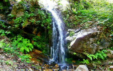 Картинка природа водопады лес река водопад трава обрыв