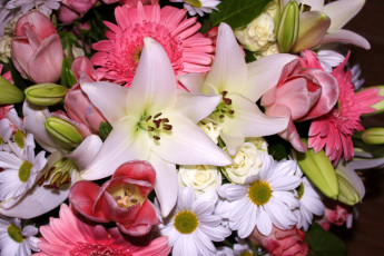 Картинка цветы разные+вместе лилии тюльпаны герберы
