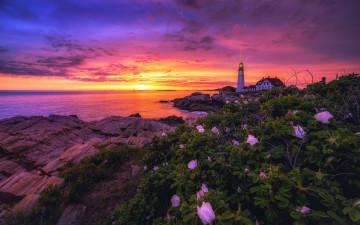 Картинка природа маяки маяк небо закат море берег камни цветы