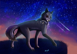 обоя рисованные, животные,  собаки, собака, метеориты, звезды, небо, ночь