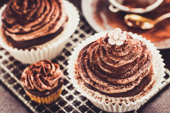 Картинка еда пирожные +кексы +печенье цветок шоколад крем кекс выпечка