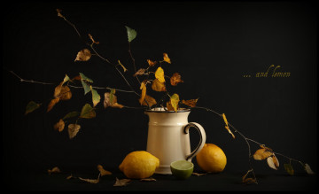 Картинка еда цитрусы осень лимоны листья ветки