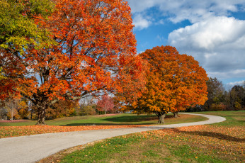 Картинка природа дороги осень деревья тракт