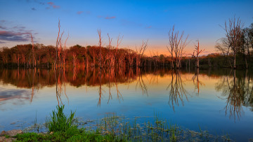 Картинка природа реки озера отражение осень река лес