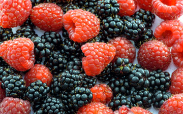 Картинка еда фрукты +ягоды ежевика малина