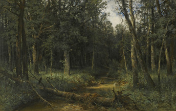 Картинка рисованное иван+шишкин лес иван иванович шишкин картина пейзаж темное дерево