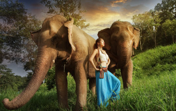 обоя животные, слоны, девушка, азиатка
