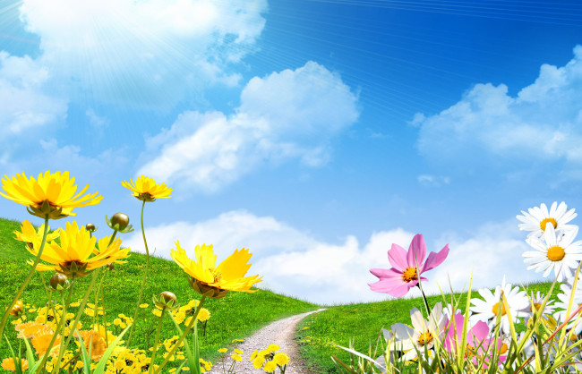 Обои картинки фото разное, компьютерный дизайн, небо, весна, spring, ромашки, солнце, поле, цветы, сохранить