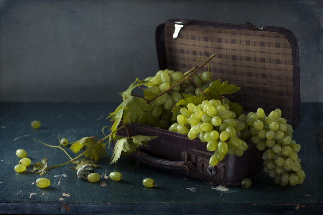 Обои картинки фото еда, виноград, чемодан, ягода, листья