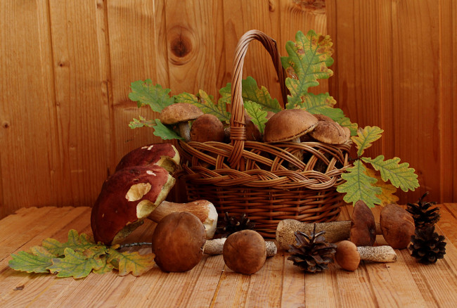 Обои картинки фото еда, грибы,  грибные блюда, боровик, подберезовики, натюрморт, осень