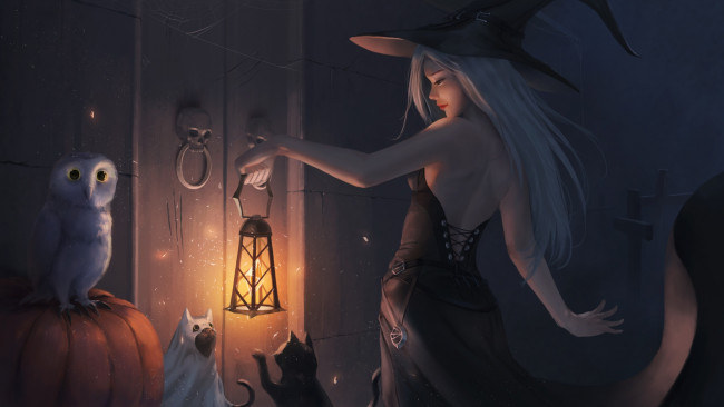 Обои картинки фото праздничные, хэллоуин, девушка, кошки, сова, шляпа, платье, дверь, арт, фонарь, halloween, черепа, ведьма