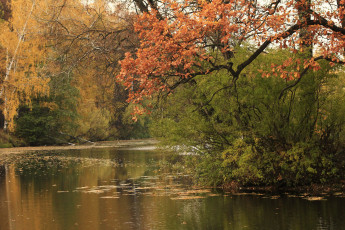 Картинка природа реки озера осень река деревья