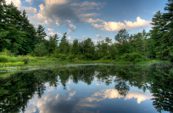 Картинка природа реки озера вода отражение деревья