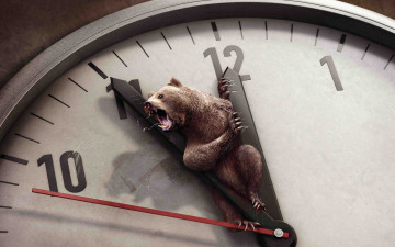 Картинка 3д графика animals животные медведь часы