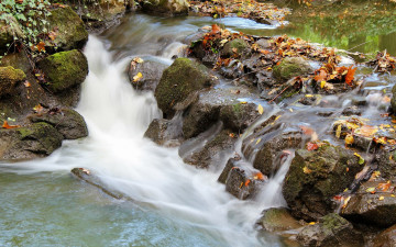 Картинка природа реки озера вода камни осень листья