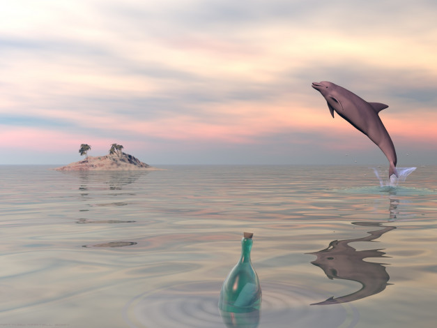 Обои картинки фото 3д, графика, animals, животные, море, дельфин, остров