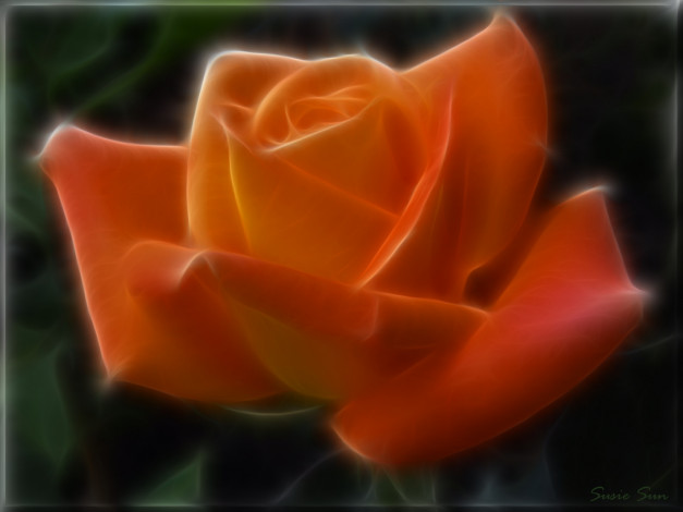 Обои картинки фото 3д, графика, flowers, цветы, красная, лепестки, роза