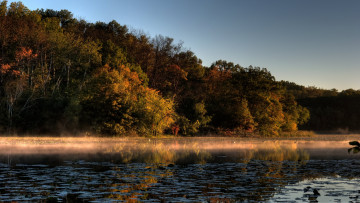 Картинка природа реки озера туман утро озеро лес