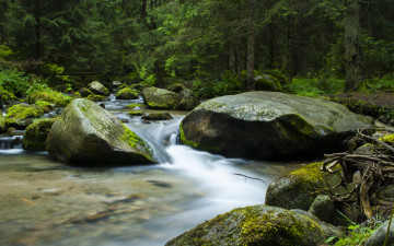 Картинка природа реки озера ручей лес камни