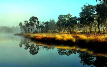 Картинка природа реки озера трава деревья озеро туман