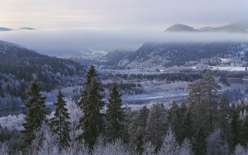 Картинка природа зима горы лес река снег