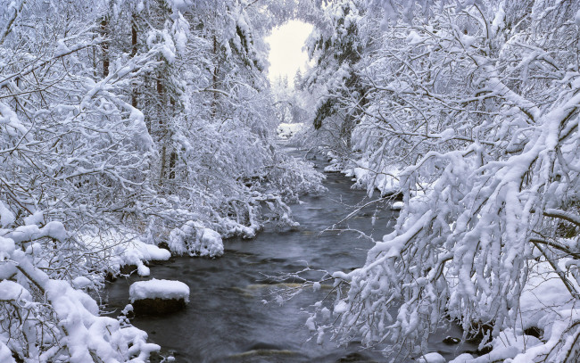 Обои картинки фото природа, зима, река, деревья, снег, швеция