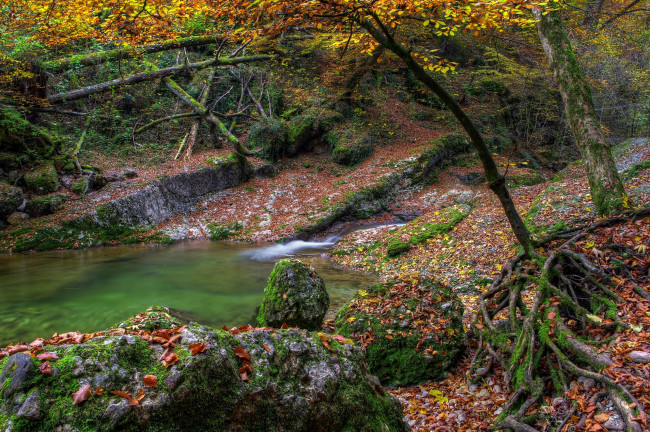 Обои картинки фото природа, лес, осень, ручей, камни, листья, деревья