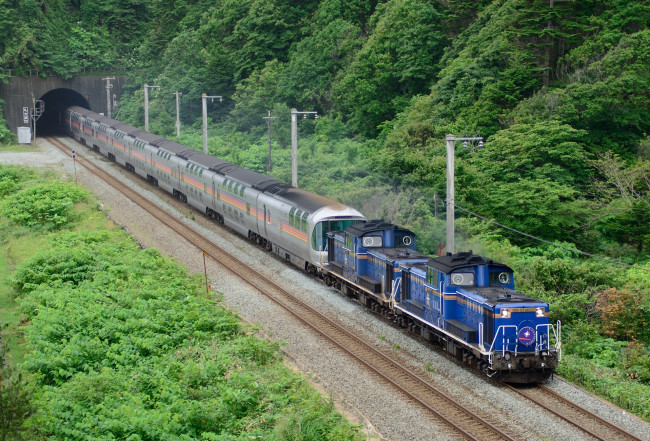 Обои картинки фото техника, поезда, лес, рельсы, поезд, тунель