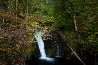 Картинка oregon usа природа водопады лес водопад осень