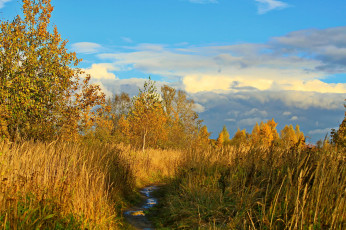 Картинка природа пейзажи кусты трава облака осень