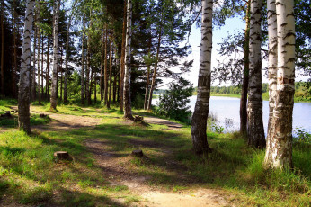 Картинка Ярославль река солоница природа лес деревья