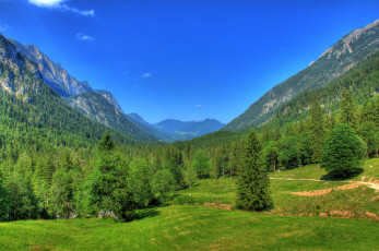 Картинка германия бавария природа горы лес поляна