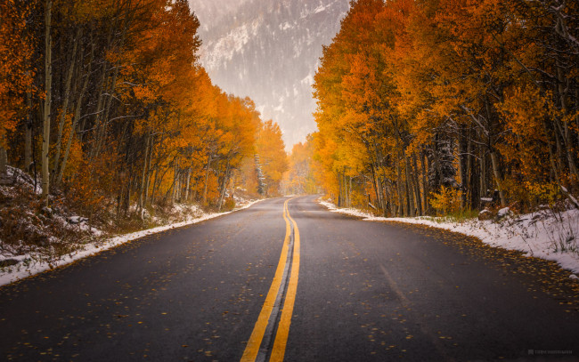 Обои картинки фото природа, дороги, сша, колорадо, дорога, в, аспен, осень
