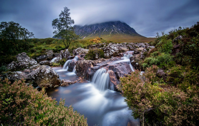 Обои картинки фото природа, реки, озера, ручей, гора, трава, камни, цветы, шотландия, scotland, glencoe, buachaille, etive, mor