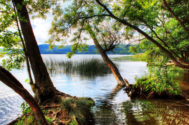 Обои картинки фото германия, глес, природа, реки, озера, побережье, деревья, река