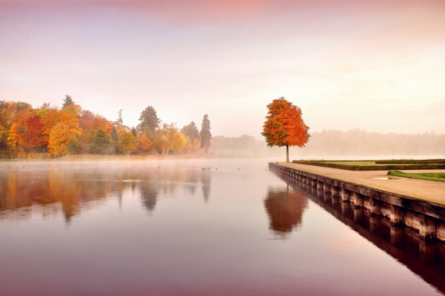 Обои картинки фото природа, реки, озера, осень, пейзаж, деревья, листья, оранжевые, желтые, вода, утро, туман