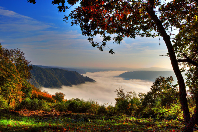 Обои картинки фото германия, клоттен, природа, пейзажи, туман, трава, деревья, горы, река