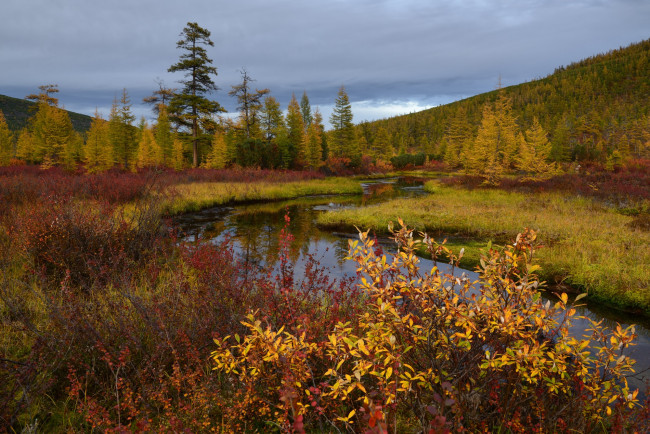Обои картинки фото природа, пейзажи, осень, колыма, ручей, неведомый