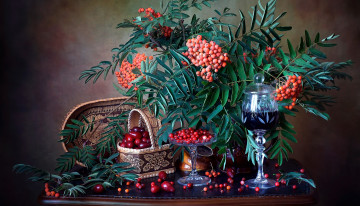 Картинка еда фрукты +ягоды рябина клюква вино
