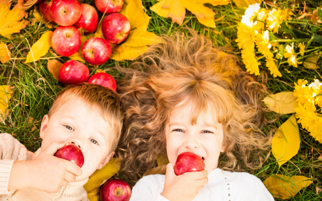 Обои картинки фото разное, дети, мальчик, девочка, листья, яблоки