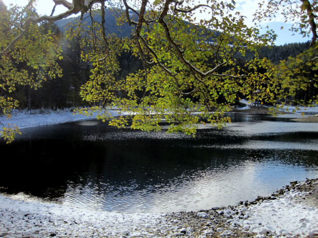 Обои картинки фото природа, реки, озера, ветка, снег, вода