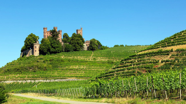 Обои картинки фото ortenberg castle, города, замки германии, ortenberg, castle