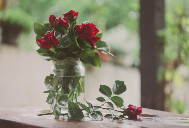 Обои картинки фото цветы, розы, красные, букетик
