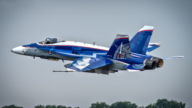 Обои картинки фото mcdonnell douglas cf-188 hornet, авиация, боевые самолёты, истребитель