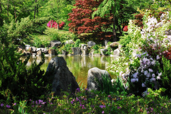 Картинка природа парк цветы водоем кусты